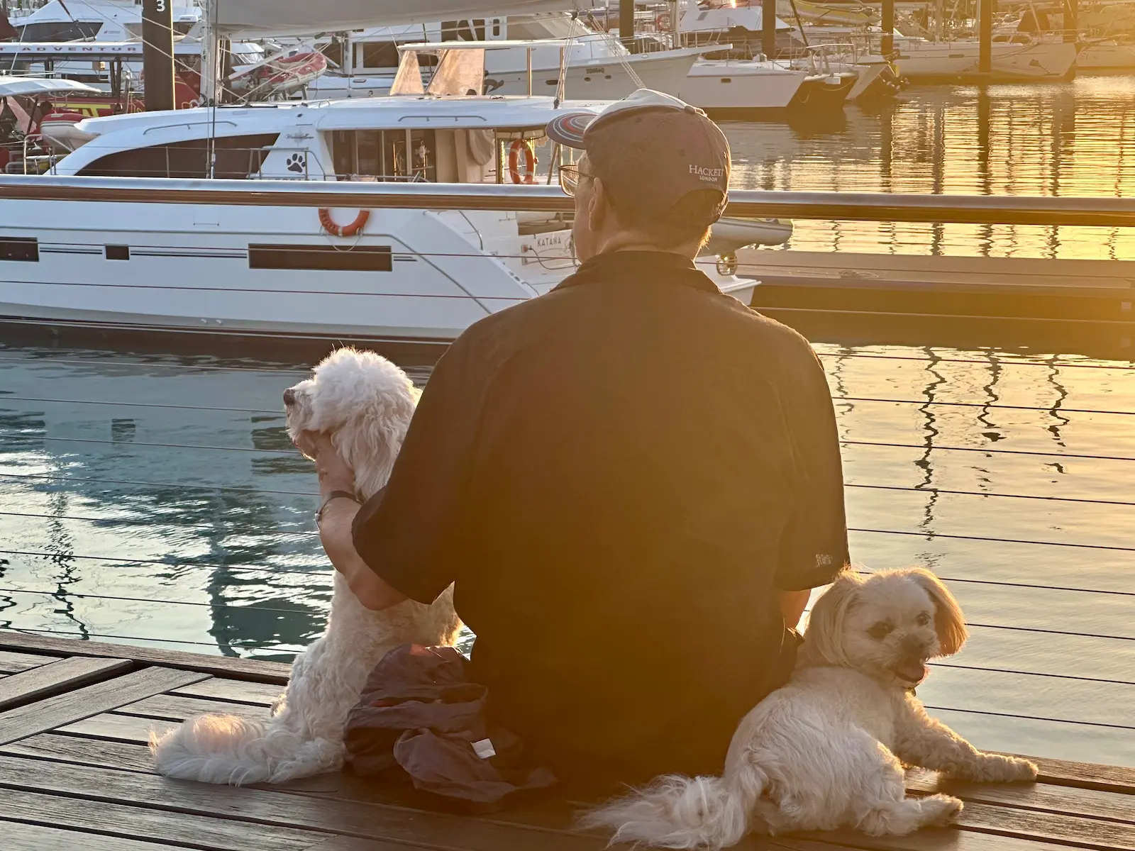 Pete with dogs Obi and Lando at a marina sunset